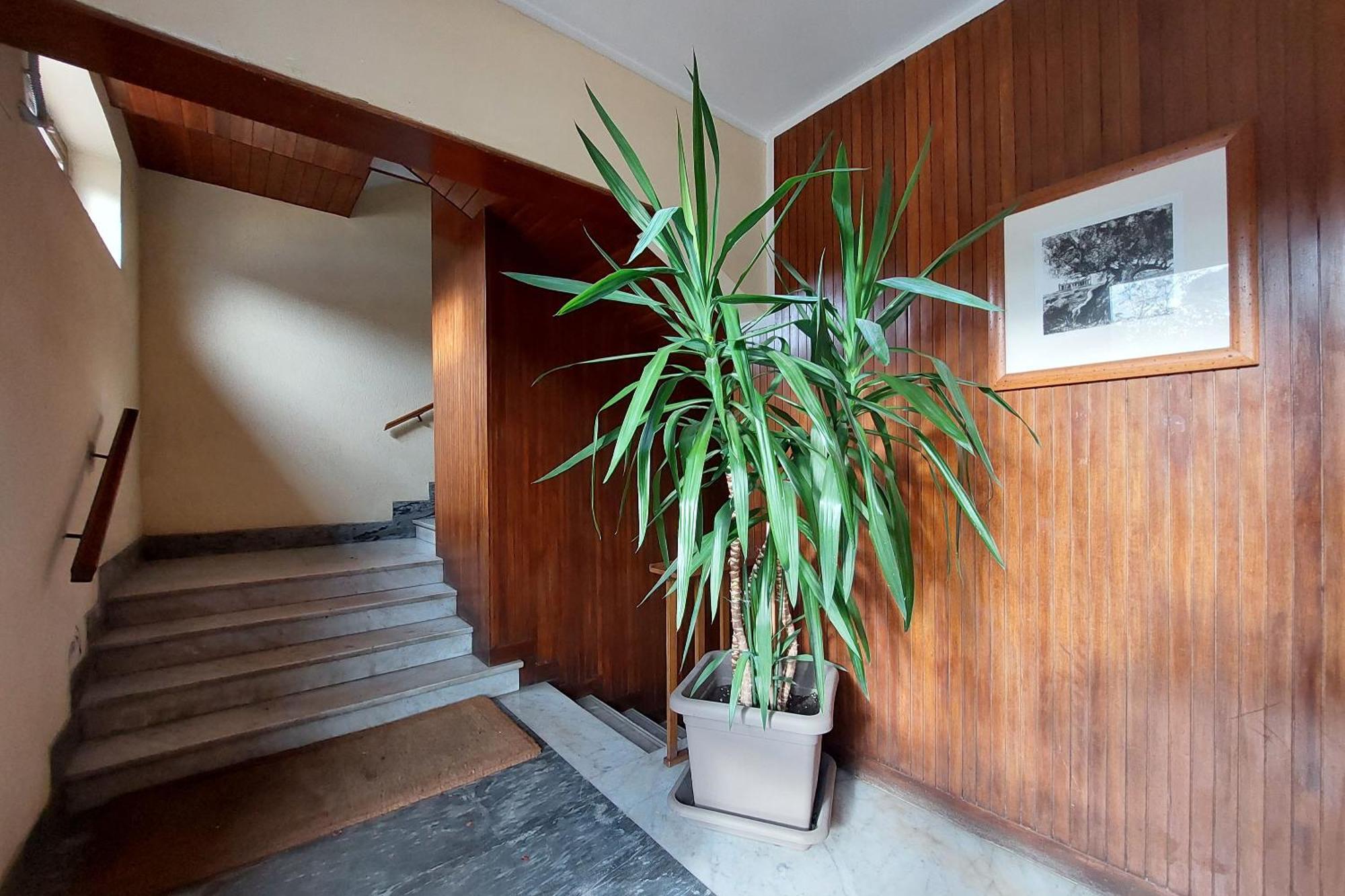 San Pietro'S Flat Daire Roma Dış mekan fotoğraf